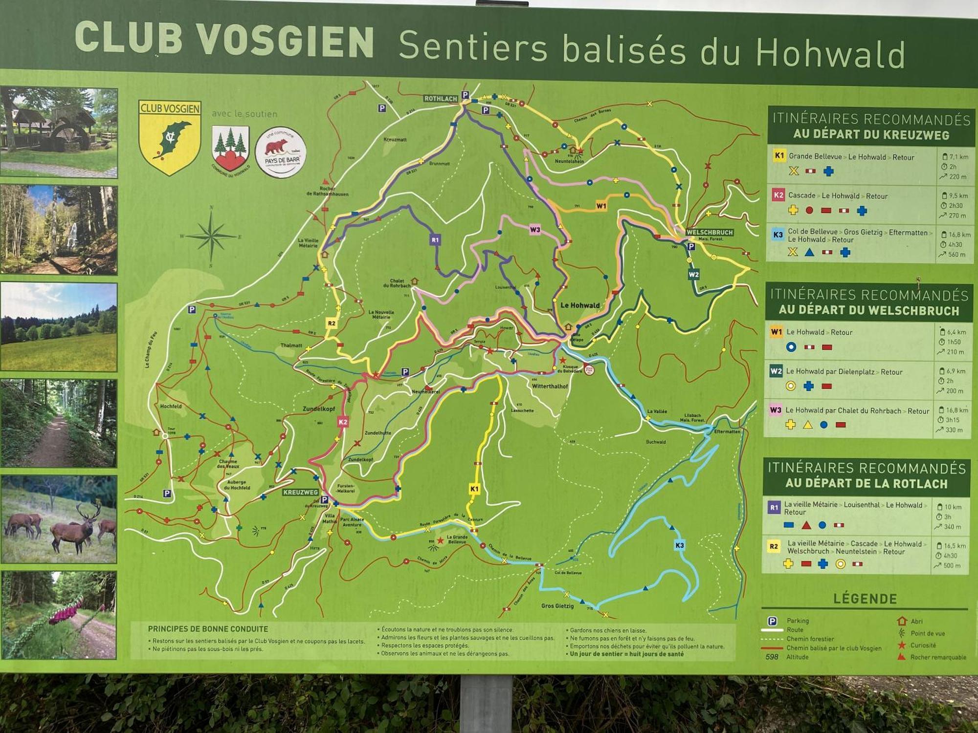 Gite Au Cours D'Eau Le Hohwald Exterior photo